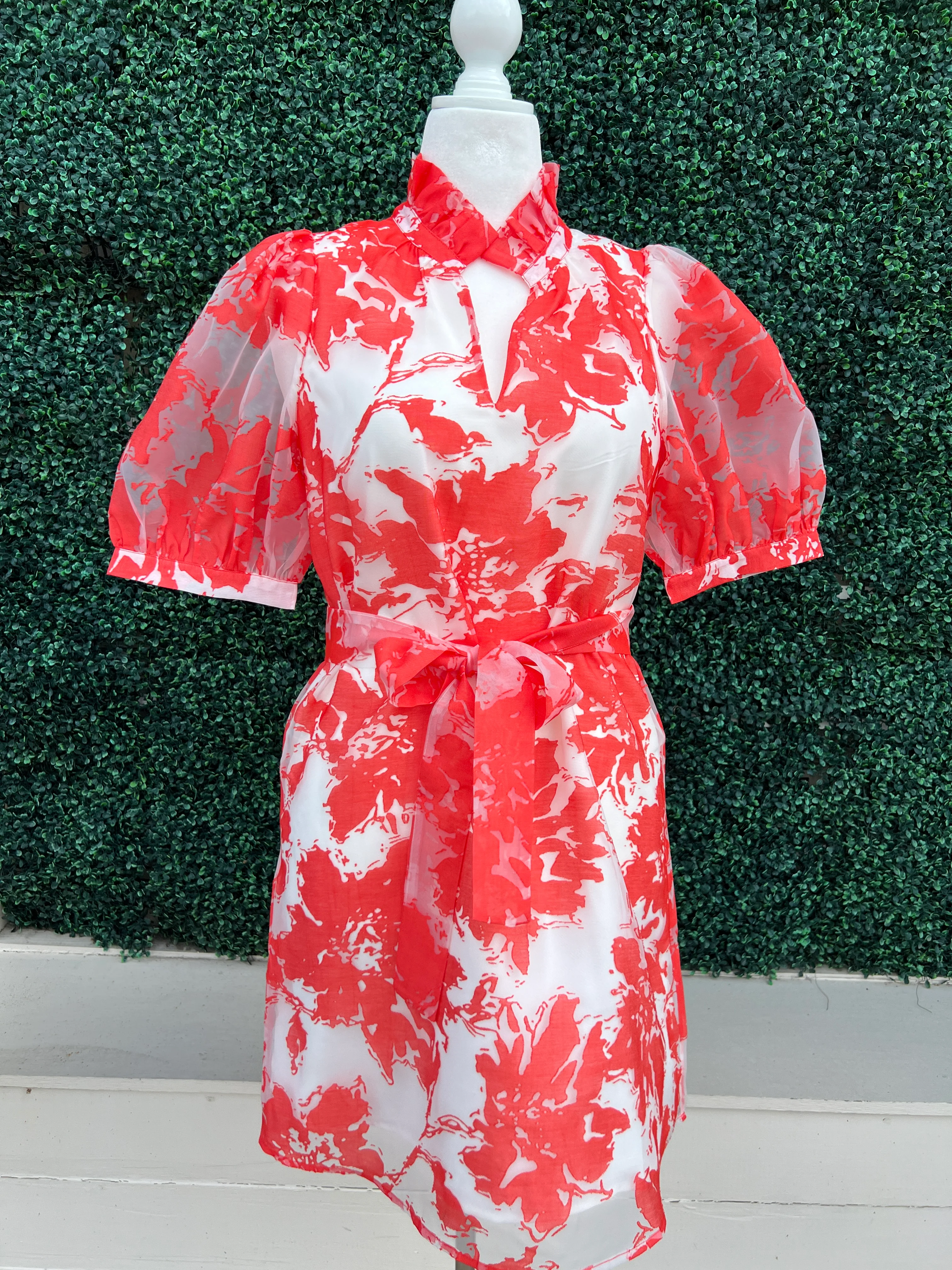 Red and White Organza Dress - Image 4